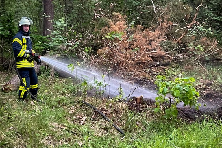 Kleiner Vegetationsbrand bei Neetze