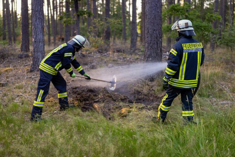 Kleiner Flächenbrand im Wald