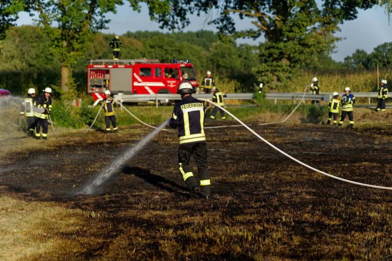 Karze: Flächenbrand