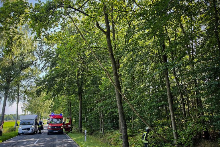 Baum droht auf Straße zu fallen