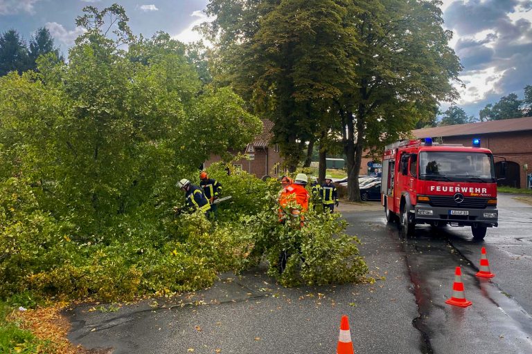 Baum auf Straße – beim Feuerwehrhaus